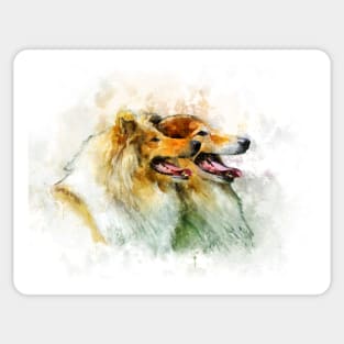Rough Collie / Long-haired Collie watercolor Sticker